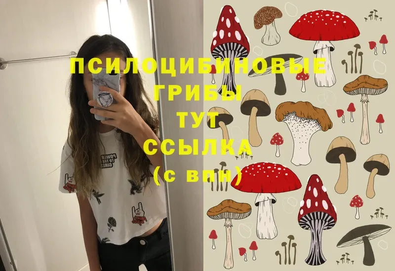 Псилоцибиновые грибы Magic Shrooms  сколько стоит  Буй 